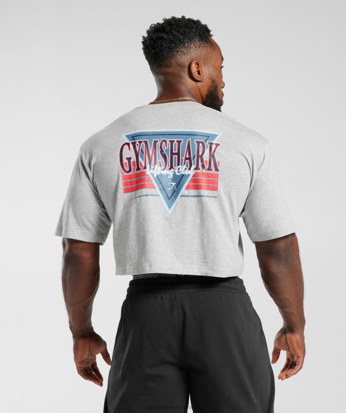 retrowave crop majica s kratkimi rokavi moškiGymshark svetlo sivi jedrni lapor J00L2588