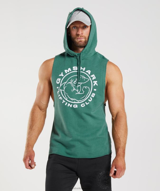 legacy pulover s kapuco moškiGymshark hoya zelena J00L2842