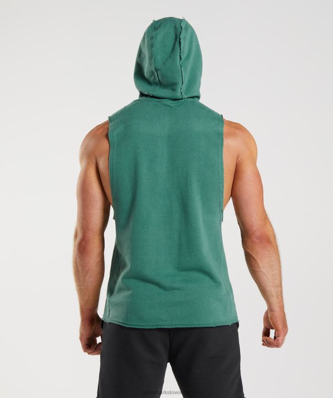 legacy pulover s kapuco moškiGymshark hoya zelena J00L2842
