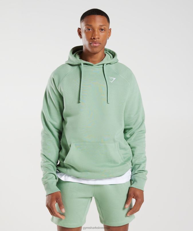 pulover s kapuco moškiGymshark zelena puščavska kadulja J00L2823