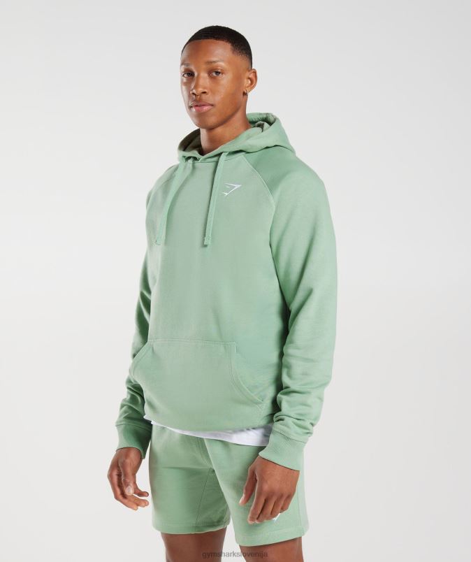 pulover s kapuco moškiGymshark zelena puščavska kadulja J00L2823