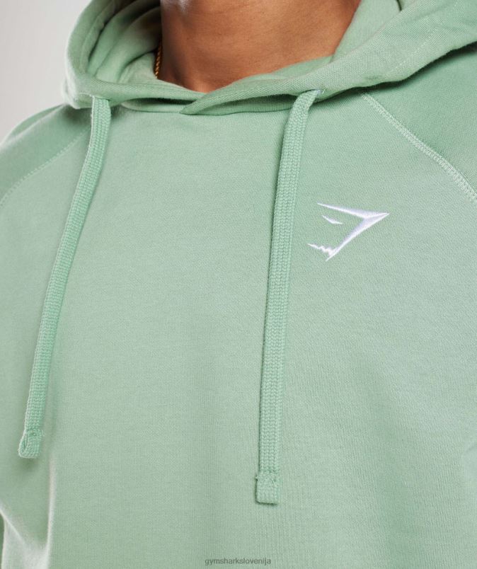 pulover s kapuco moškiGymshark zelena puščavska kadulja J00L2823